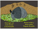 Good Night, Texas, Good Night, Little Armadillo